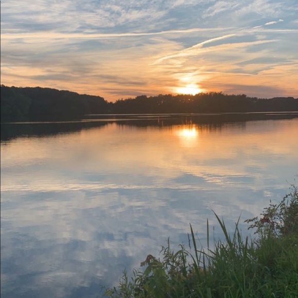 Meet your Posher, Emma - Picture 1 of 1